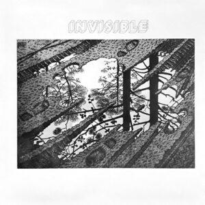 [INVISIBLE] INVISIBLE Argentina