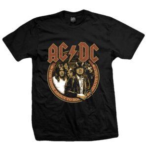 AC/DC - We salute You