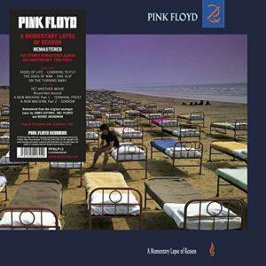 [PINK FLOYD] A MOMENTARY LAPSE OF REASON (REM) USA