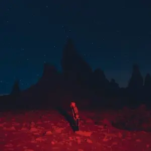 [PHOEBE BRIDGERS] PUNISHER (USA)