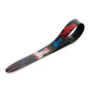 ECO DAVID BOWIE