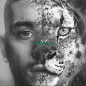[ZAYN] KONNAKOL Arg